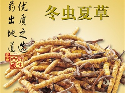 连山回收冬虫夏草正规公司图4