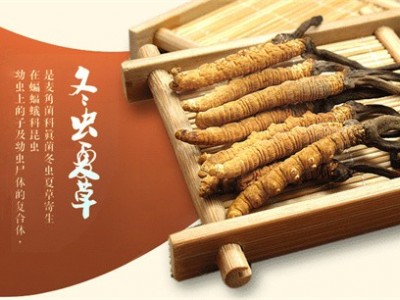 连州哪里回收冬虫夏草,连州回收冬虫夏草交易中心图4