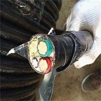 嘉兴废旧电缆线回收-高压电缆回收（正泰240电缆线回收）