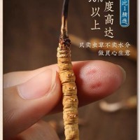 龙岩冬虫夏草回收价格-一克多少钱