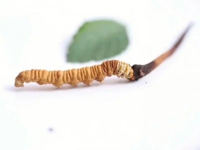许昌回收名烟名酒-03年茅台酒一箱价格落实图3