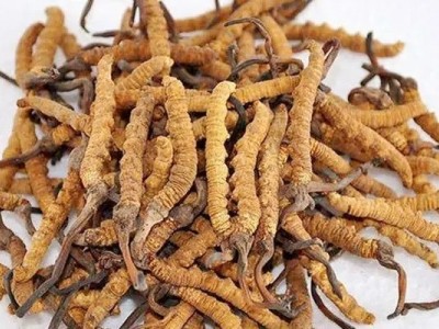 周口回收茅台的地方/茅台酒回收价格亮相图8